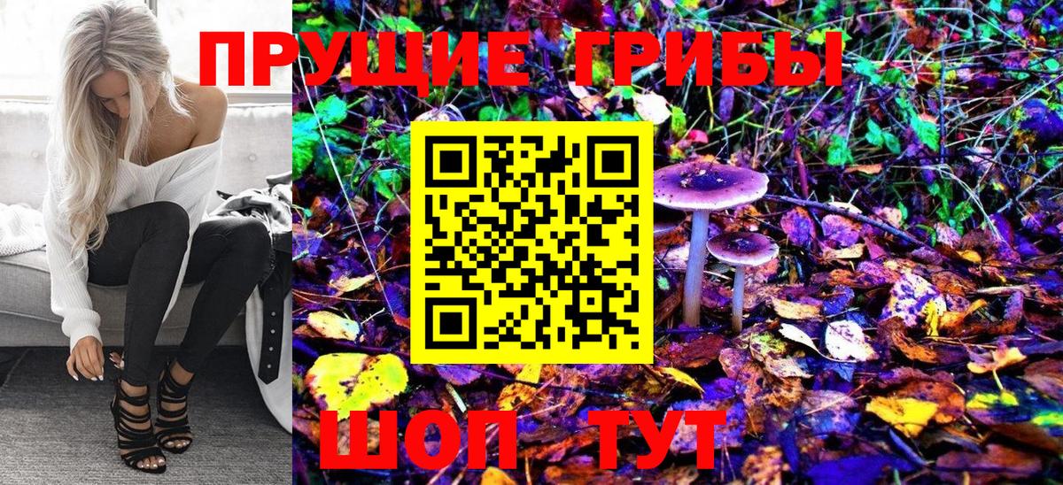 Галлюциногенные грибы Cubensis  цена наркотик  Россошь  Вход с VPN 